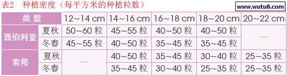 种植密度（每平方米的种植粒数）
