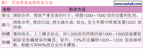 百合常见虫害防治方法