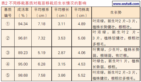 不同移栽基质对瓶苗移栽后生长情况的影响