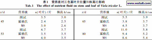 营养液对三色堇叶片数量和株高的影响
