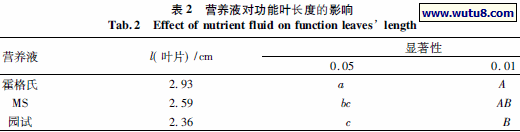 营养液对功能叶长度的影响