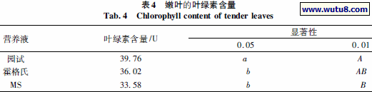 嫩叶的叶绿素含量