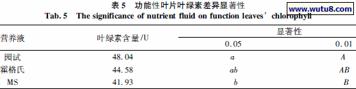功能性叶片叶绿素差异显著性
