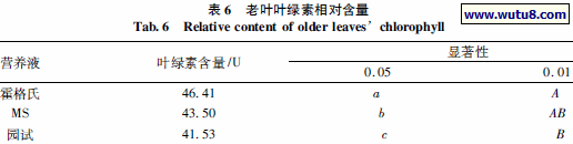 老叶叶绿素相对含量