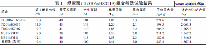 绿蜜栗（TL0106×HZ0119）组合筛选试验结果
