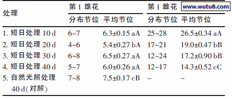 不同短日处理与对照西双版纳黄瓜