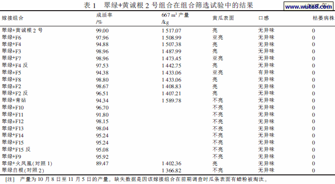 翠绿+黄诚根2 号组合在组合筛选试验中的结果