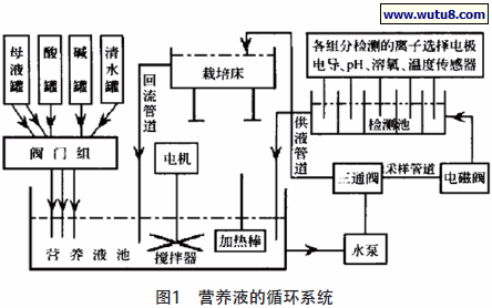 营养液的循环系统