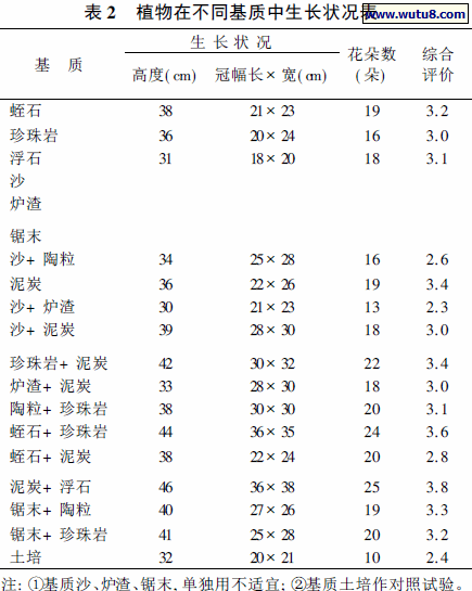 植物在不同基质中生长状况表