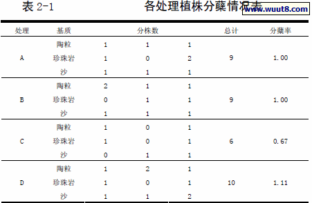 各处理植株分蘖情况表