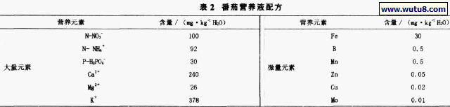 番茄营养液配方