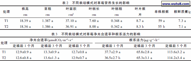 不同栽培模式对草莓营养生长的影响