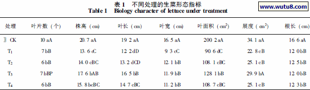 不同处理的生菜形态指标