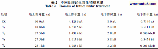 不同处理的生菜生物积累量