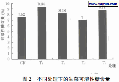 不同处理下的生菜可溶性糖含量