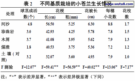 不同基质栽培的小苍兰生长情况
