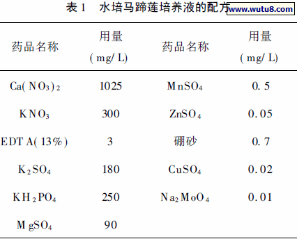 水培马蹄莲培养液的配方
