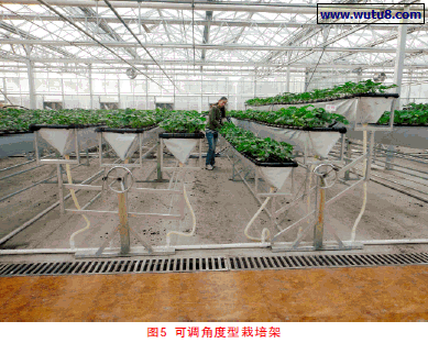 可调角度型栽培架