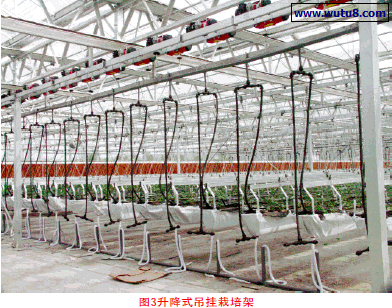 升降式吊挂栽培架