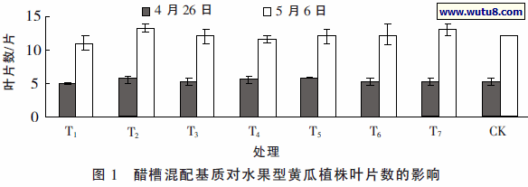 醋槽混配基质对水果型黄瓜植株叶片数的影响
