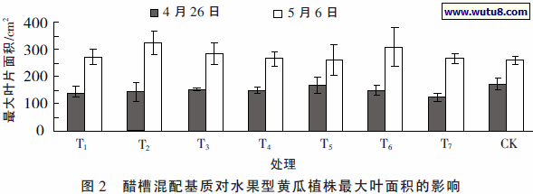 醋槽混配基质对水果型黄瓜植株最大叶面积的影响