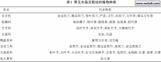 常见水晶泥栽培的植物种类