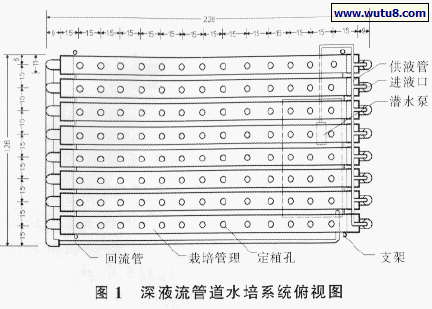 深液流管道水培系统俯视图