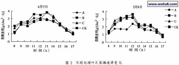 不同处理叶片蒸腾速率变化