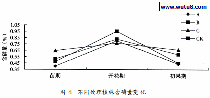 不同处理植株含磷量变化