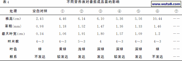 不同营养液对番茄成品苗的影响
