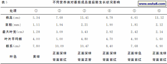 不同营养液对番茄成品苗后期生长状况影响