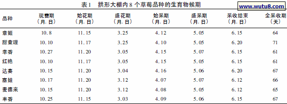 拱形大棚内8 个草莓品种的生育物候期