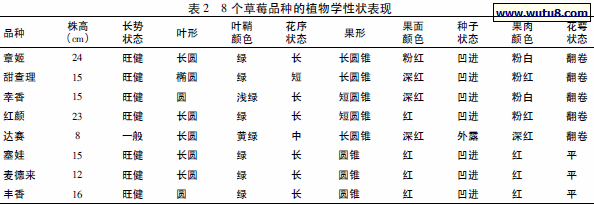 8 个草莓品种的植物学性状表现