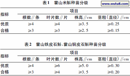 霍山铁皮石斛、霍山铜皮石斛种苗分级