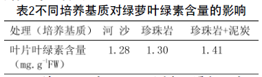不同培养基质对绿萝叶绿素含量的影响