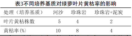 不同培养基质对绿萝叶片黄枯率的影响