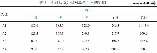 不同基质处理对草莓产量的影响