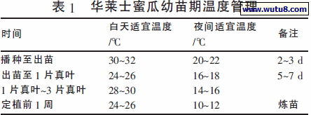 华莱士蜜瓜幼苗期温度管理