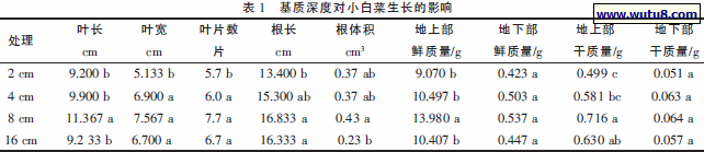 基质深度对小白菜生长的影响