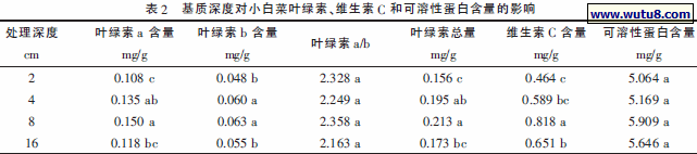 基质深度对小白菜叶绿素、维生素C 和可溶性蛋白含量的影响