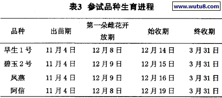 不同基质栽培黄瓜对产量的影响