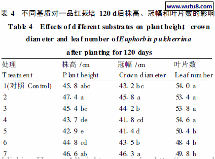 不同基质对一品红栽培120 d后株高、冠幅和叶片数的影响