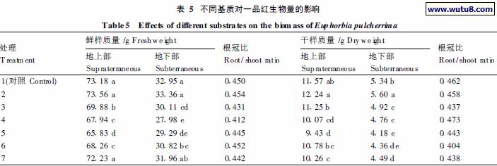 不同基质对一品红生物量的影响