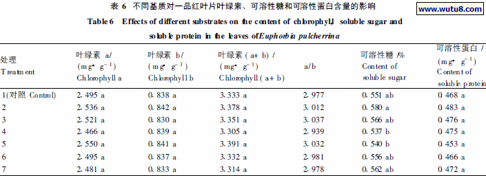 不同基质对一品红叶片叶绿素、可溶性糖和可溶性蛋白含量的影响
