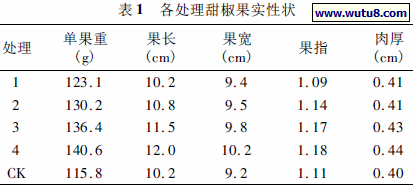 各处理甜椒果实性状