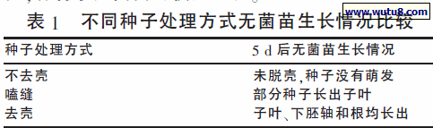 不同种子处理方式无菌苗生长情况比较