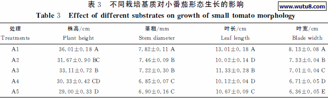 不同栽培基质对小番茄形态生长的影响