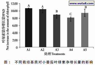 不同栽培基质对小番茄叶绿素净增长量的影响