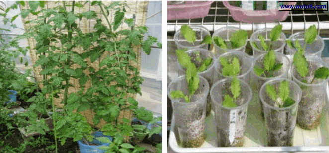 废弃的瓶框盒篮