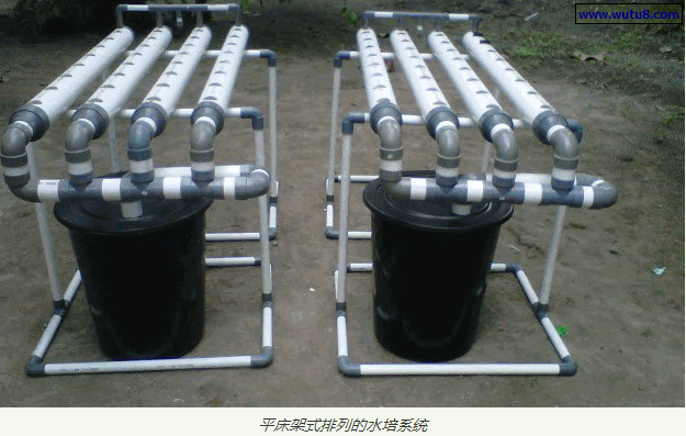 平床架式排列的水培系统